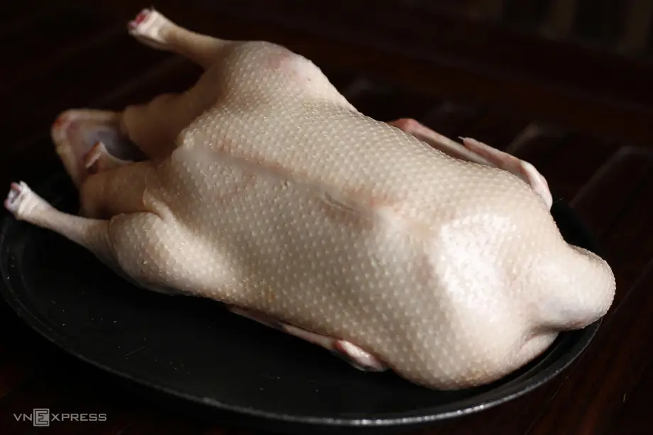 Vịt tươi sống, da vàng, chuẩn bị sơ chế.