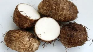 Khoai sọ tươi ngon, vỏ sần, bám đất.