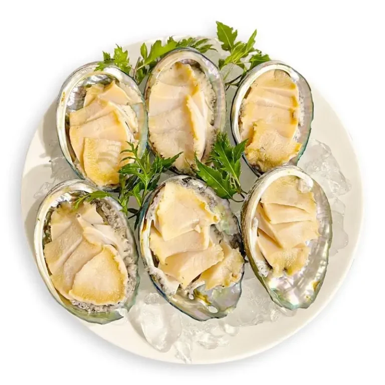 Bào ngư tươi trình bày đẹp mắt trên đĩa.