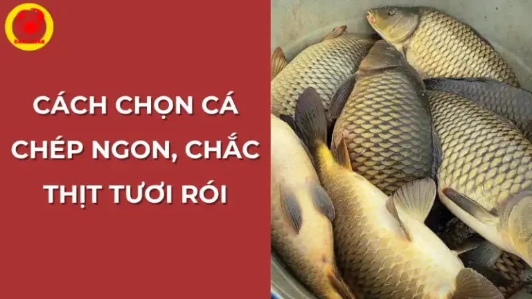 Bí quyết chọn cá chép tươi ngon