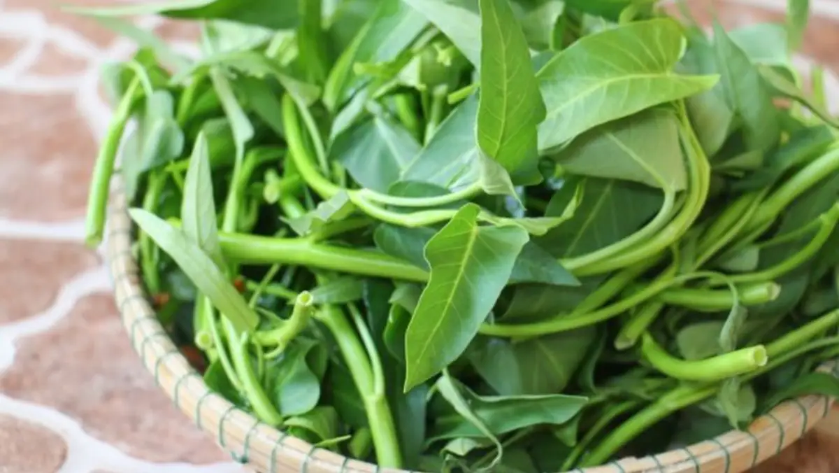 Rau muống tươi xanh trên rổ tre