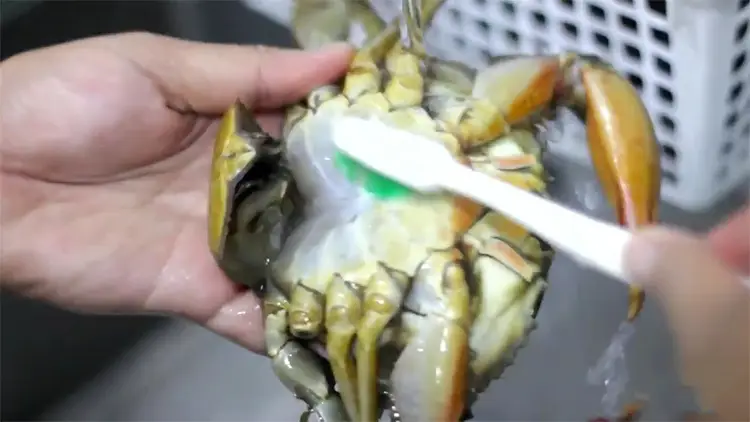 Quy trình sơ chế cua biển và rau tươi