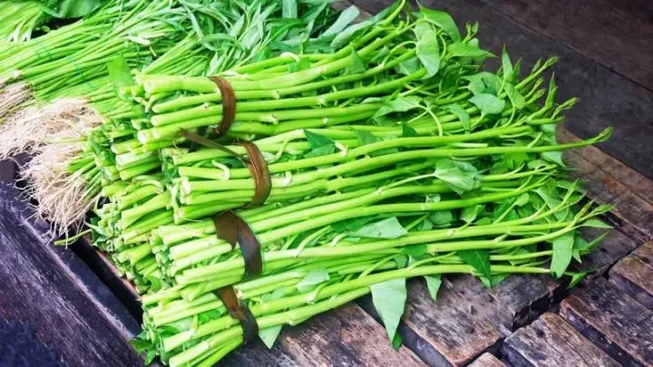 Rau tươi sạch cho lẩu cua mồng tơi.