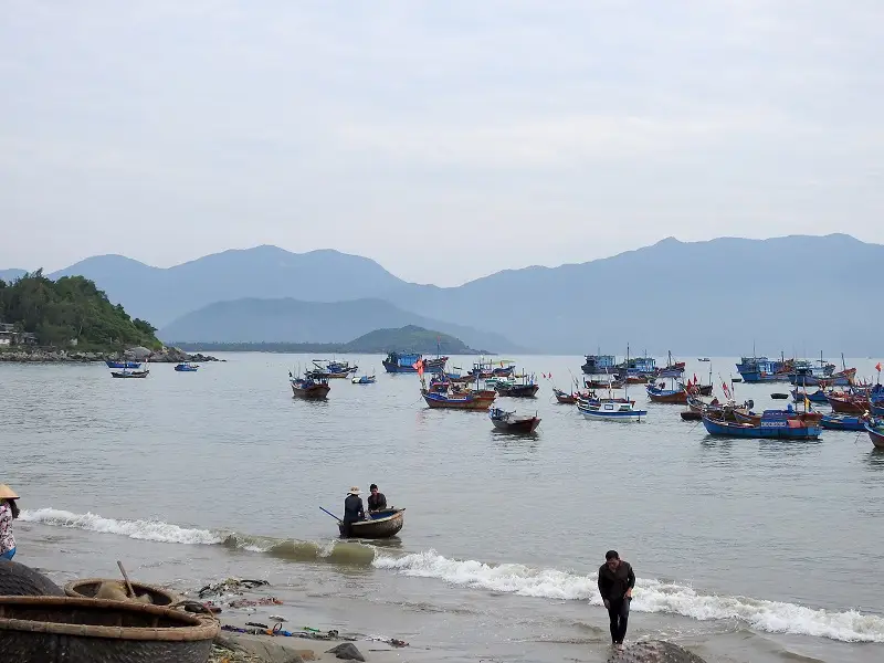 Chè đông sương trái cây hạt é