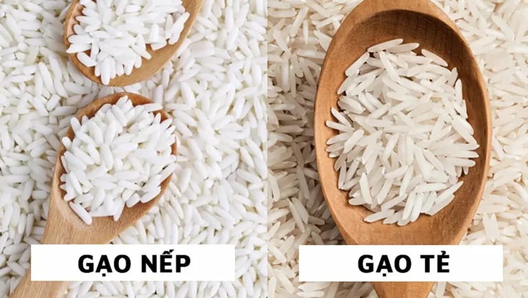 Gạo tẻ, nếp, lứt, đậu xanh đa dạng.