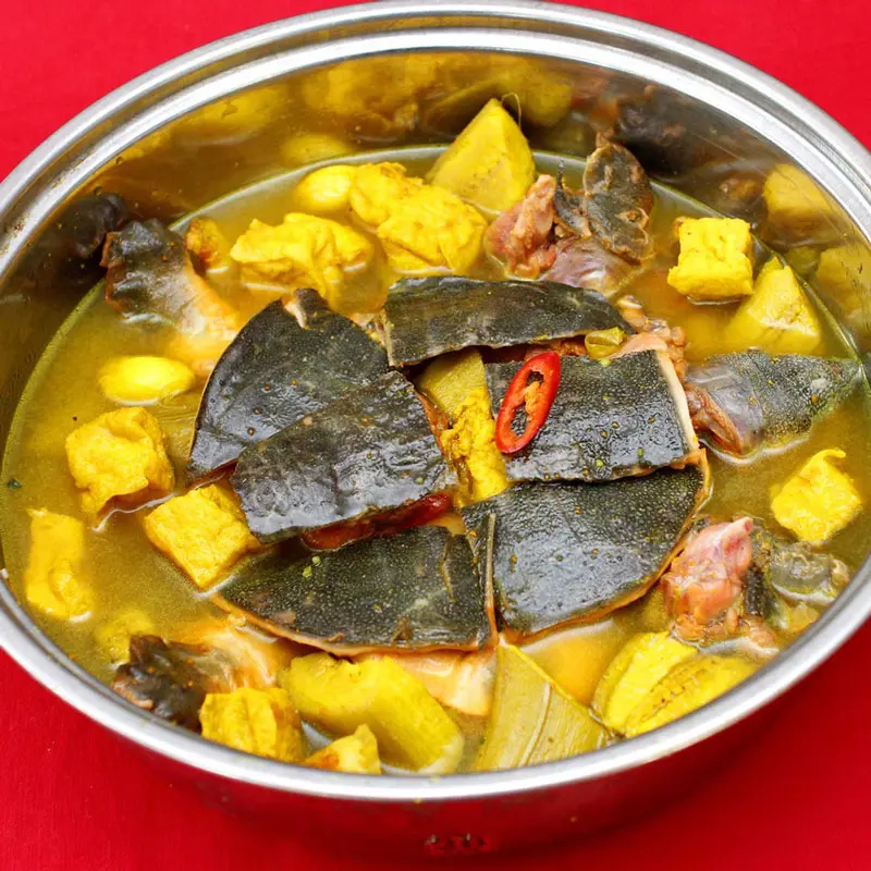 Cách Nấu Ba Ba - Hình ảnh đẹp, chi tiết và thực tế