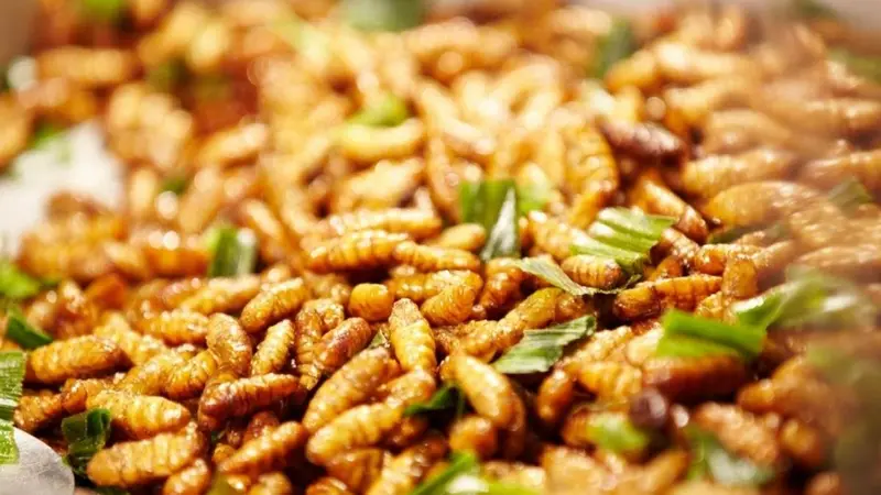 Cách Nấu Nhộng Ong Ngon Chuẩn Vị, Béo Ngậy Tại Nhà 2 Cách nấu nhộng ong - Sơ chế và làm sạch nhộng ong đúng cách