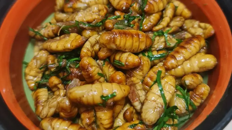 Cách Rang Nhộng Ngon - Hình ảnh đẹp, chi tiết và thực tế