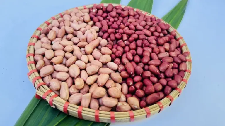 Đậu Phộng Đỏ - Hình ảnh đẹp, chi tiết và thực tế