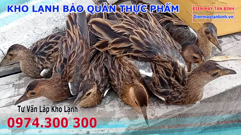 Gà Nước Làm Món Gì - Hình ảnh đẹp, chi tiết và thực tế