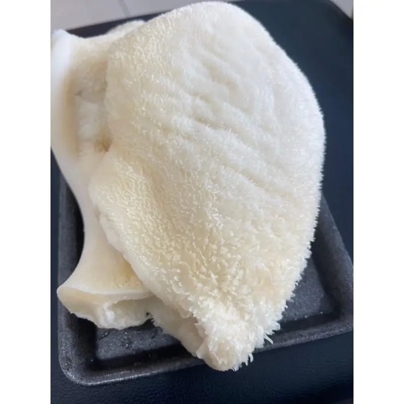 Khăn Lông Bò - Hình ảnh đẹp, chi tiết và thực tế