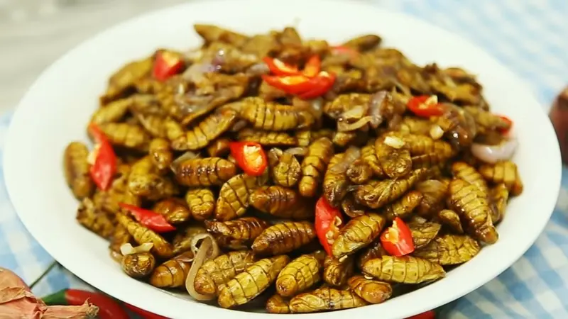 Món Ăn Từ Nhộng - Hình ảnh đẹp, chi tiết và thực tế