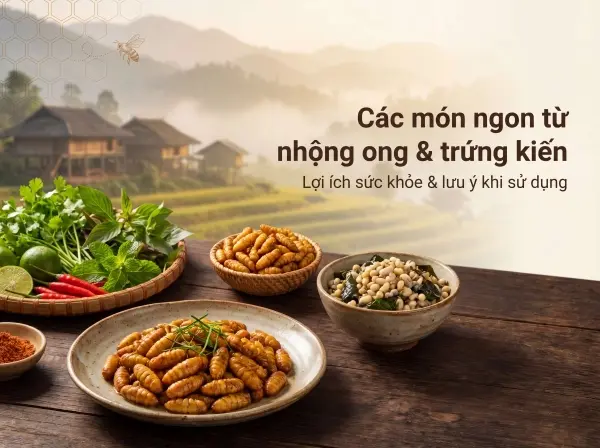 Món ăn từ nhộng - Lưu Ý Khi Chế Biến Và Thưởng Thức Nhộng